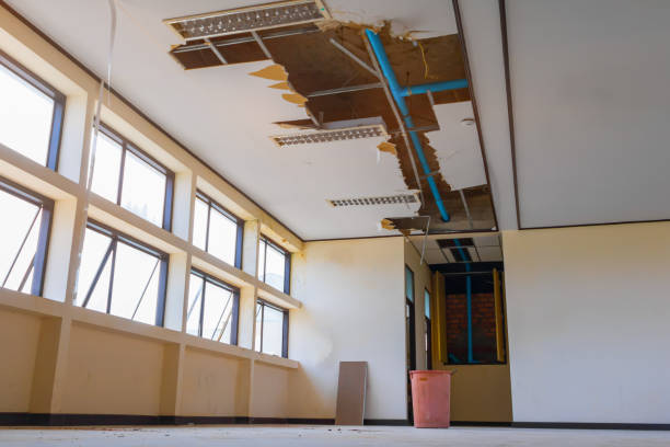 Best Residential water damage restoration  in Newton, IL