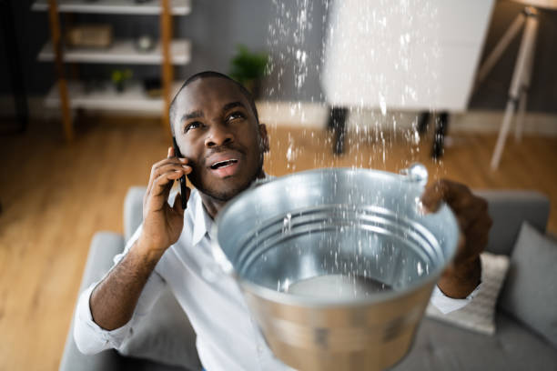Best Water damage restoration specialists  in Newton, IL