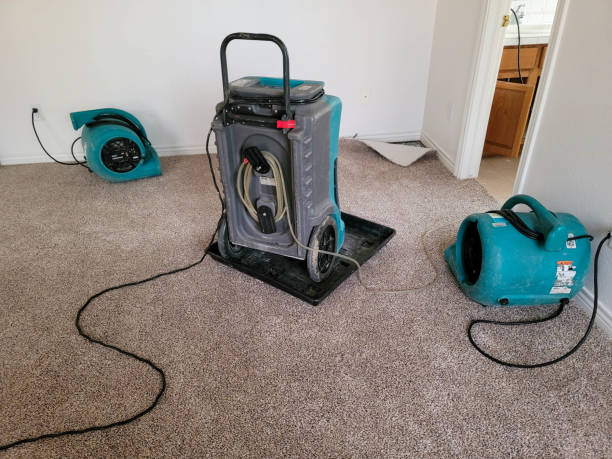 Best Sewage cleanup and water damage restoration  in Newton, IL