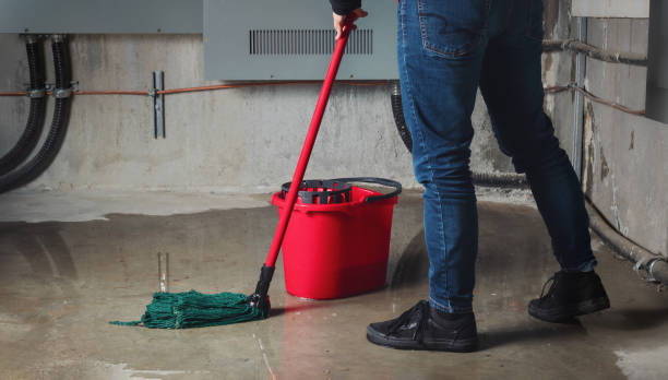 Best Water damage cleanup near me  in Newton, IL