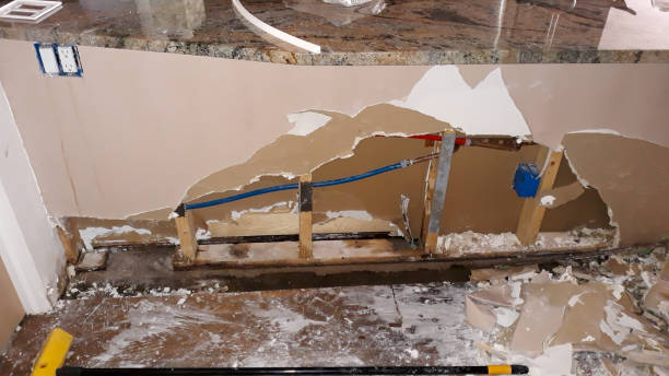 Best Local water damage restoration  in Newton, IL